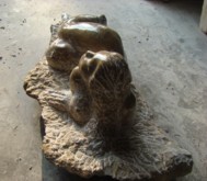 Afrikanerin, 2007